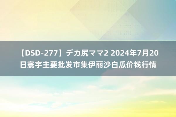 【DSD-277】デカ尻ママ2 2024年7月20日寰宇主要批发市集伊丽沙白瓜价钱行情