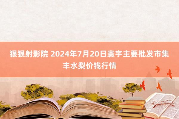 狠狠射影院 2024年7月20日寰宇主要批发市集丰水梨价钱行情