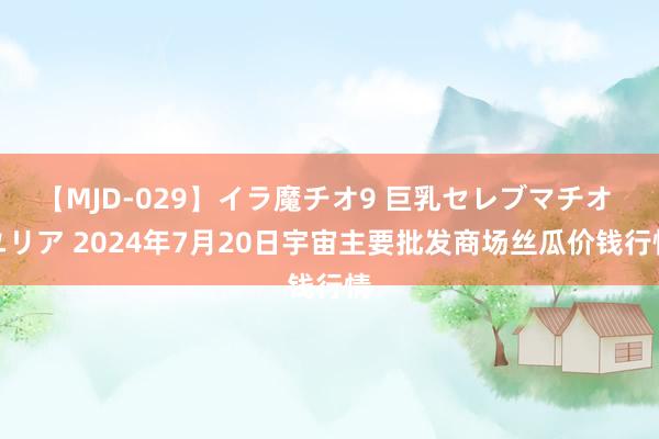 【MJD-029】イラ魔チオ9 巨乳セレブマチオ ユリア 2024年7月20日宇宙主要批发商场丝瓜价钱行情