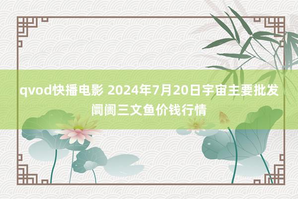 qvod快播电影 2024年7月20日宇宙主要批发阛阓三文鱼价钱行情