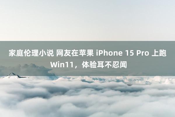 家庭伦理小说 网友在苹果 iPhone 15 Pro 上跑 Win11，体验耳不忍闻