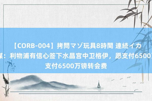 【CORB-004】拷問マゾ玩具8時間 連続イカせ調教 英媒：利物浦有信心签下水晶宫中卫格伊，愿支付6500万镑转会费