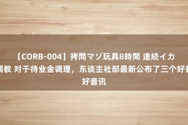 【CORB-004】拷問マゾ玩具8時間 連続イカせ調教 对于待业金调理，东谈主社部最新公布了三个好音讯