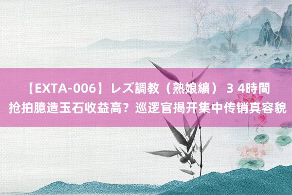 【EXTA-006】レズ調教（熟娘編） 3 4時間 抢拍臆造玉石收益高？巡逻官揭开集中传销真容貌