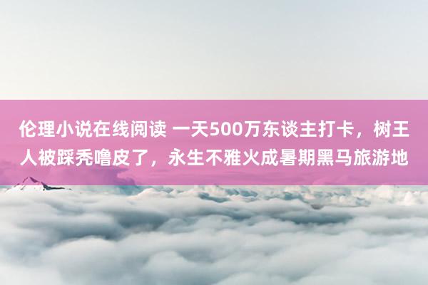 伦理小说在线阅读 一天500万东谈主打卡，树王人被踩秃噜皮了，永生不雅火成暑期黑马旅游地