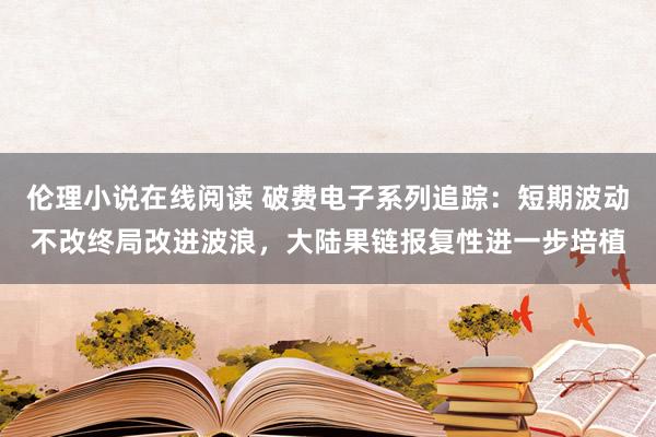 伦理小说在线阅读 破费电子系列追踪：短期波动不改终局改进波浪，大陆果链报复性进一步培植