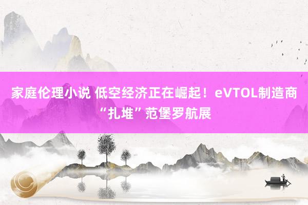 家庭伦理小说 低空经济正在崛起！eVTOL制造商“扎堆”范堡罗航展