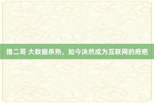 撸二哥 大数据杀熟，如今决然成为互联网的疮疤