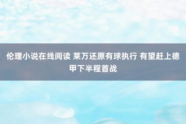 伦理小说在线阅读 莱万还原有球执行 有望赶上德甲下半程首战