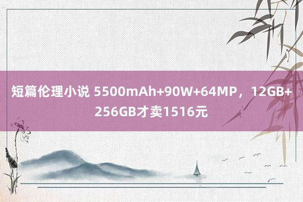 短篇伦理小说 5500mAh+90W+64MP，12GB+256GB才卖1516元