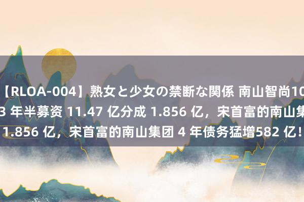 【RLOA-004】熟女と少女の禁断な関係 南山智尚10 亿再融资背后：上市 3 年半募资 11.47 亿分成 1.856 亿，宋首富的南山集团 4 年债务猛增582 亿！