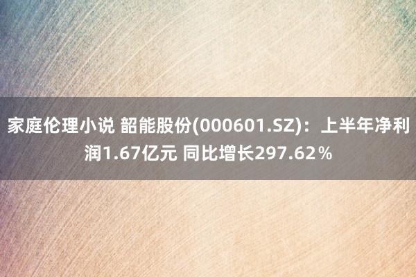 家庭伦理小说 韶能股份(000601.SZ)：上半年净利润1.67亿元 同比增长297.62％