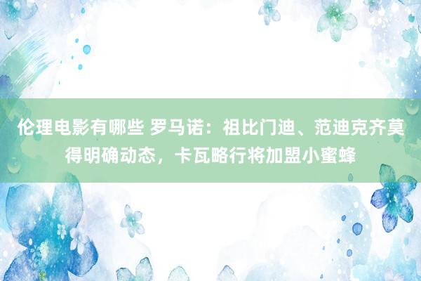 伦理电影有哪些 罗马诺：祖比门迪、范迪克齐莫得明确动态，卡瓦略行将加盟小蜜蜂