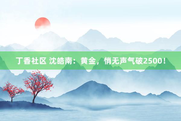 丁香社区 沈皓南：黄金，悄无声气破2500！