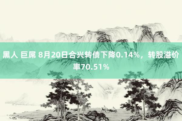 黑人 巨屌 8月20日合兴转债下降0.14%，转股溢价率70.51%