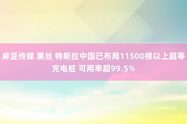 麻豆传媒 黑丝 特斯拉中国已布局11500根以上超等充电桩 可用率超99.5%