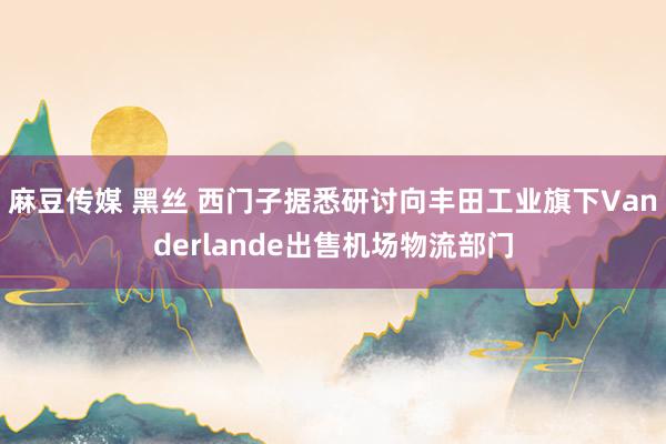 麻豆传媒 黑丝 西门子据悉研讨向丰田工业旗下Vanderlande出售机场物流部门