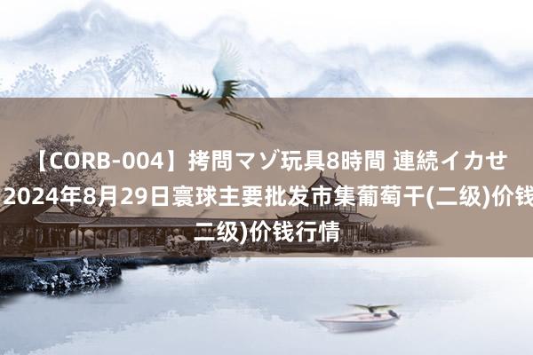 【CORB-004】拷問マゾ玩具8時間 連続イカせ調教 2024年8月29日寰球主要批发市集葡萄干(二级)价钱行情