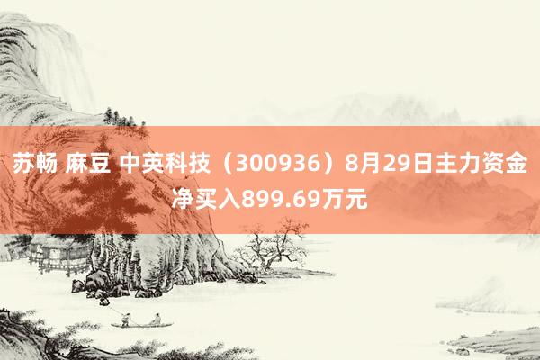 苏畅 麻豆 中英科技（300936）8月29日主力资金净买入899.69万元