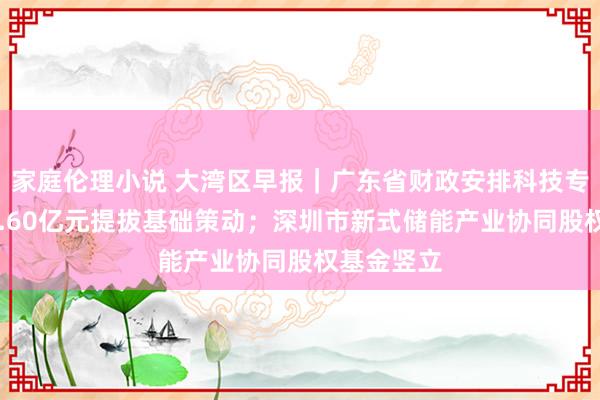 家庭伦理小说 大湾区早报｜广东省财政安排科技专项资金38.60亿元提拔基础策动；深圳市新式储能产业协同股权基金竖立