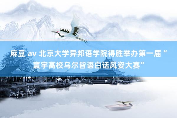 麻豆 av 北京大学异邦语学院得胜举办第一届“寰宇高校乌尔皆语白话风姿大赛”