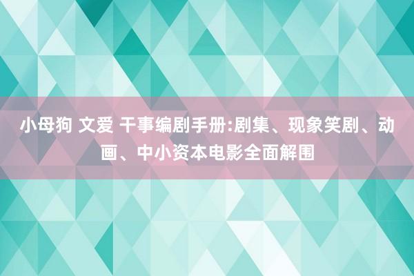 小母狗 文爱 干事编剧手册:剧集、现象笑剧、动画、中小资本电影全面解围