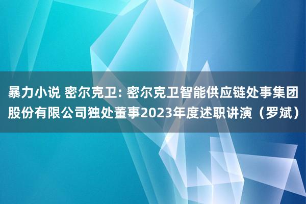 暴力小说 密尔克卫: 密尔克卫智能供应链处事集团股份有限公司独处董事2023年度述职讲演（罗斌）