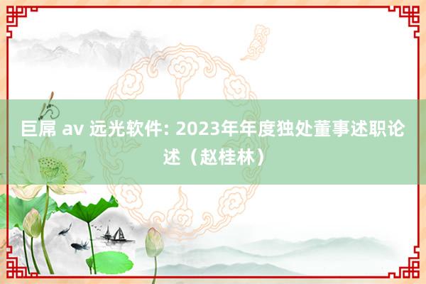 巨屌 av 远光软件: 2023年年度独处董事述职论述（赵桂林）