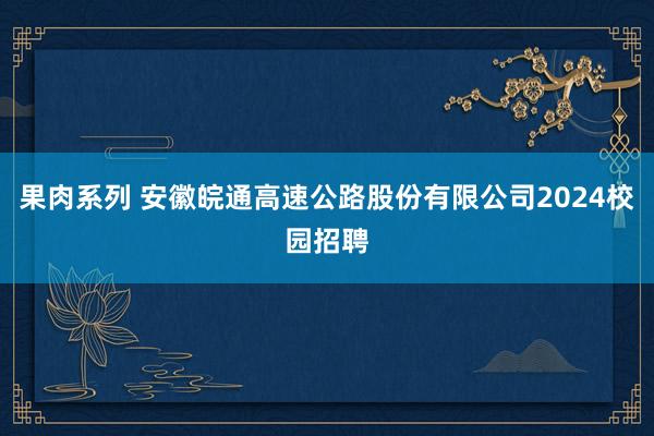 果肉系列 安徽皖通高速公路股份有限公司2024校园招聘